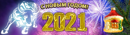 С Новым 2021 Годом!